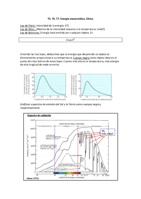Miniatura del documento Eco_5-6-7.pdf