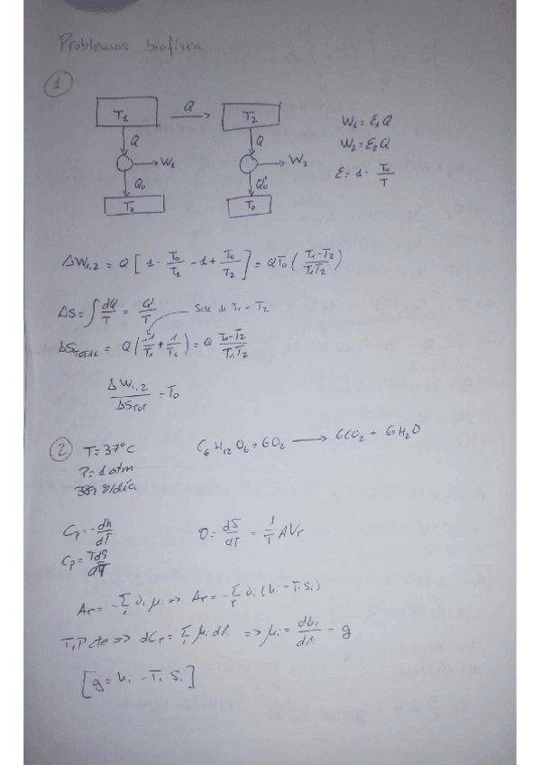 Miniatura del documento CamScanner-08-09-2021-12.pdf