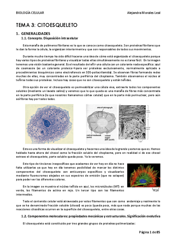 Miniatura del documento TEMA-3-BIOLOGIA-CELULAR.pdf