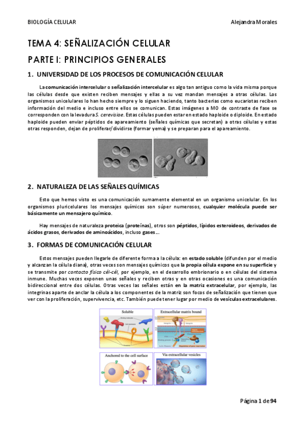 Miniatura del documento TEMA-4-BIOLOGIA-CELULAR.pdf