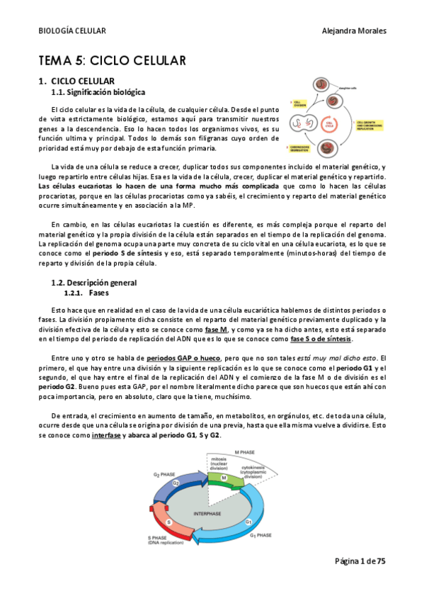 Miniatura del documento TEMA-5-BIOLOGIA-CELULAR.pdf