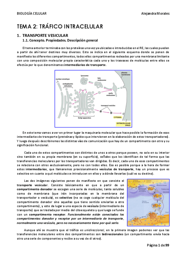 Miniatura del documento TEMA-2-BIOLOGIA-CELULAR.pdf