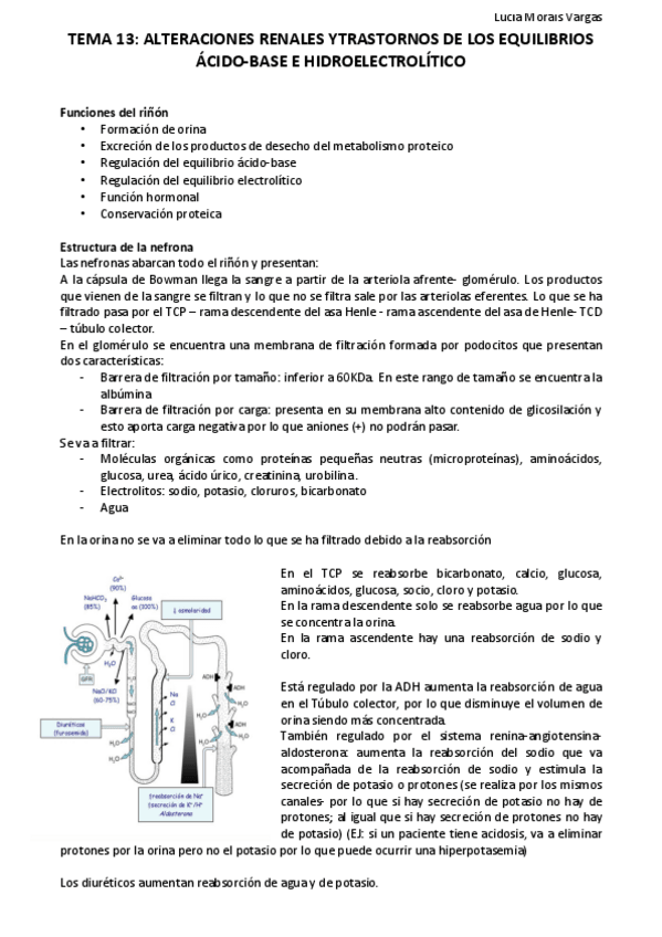 Miniatura del documento TEMA 13.pdf