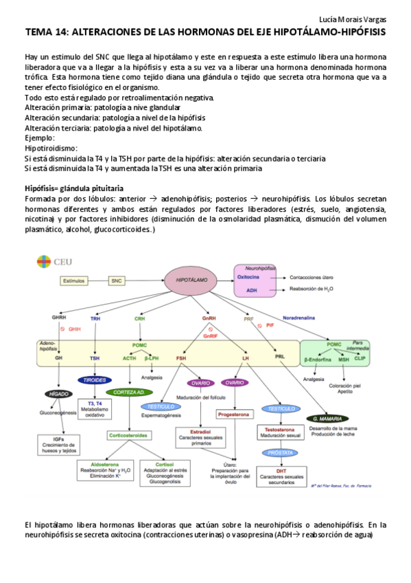 Miniatura del documento TEMA 14.pdf