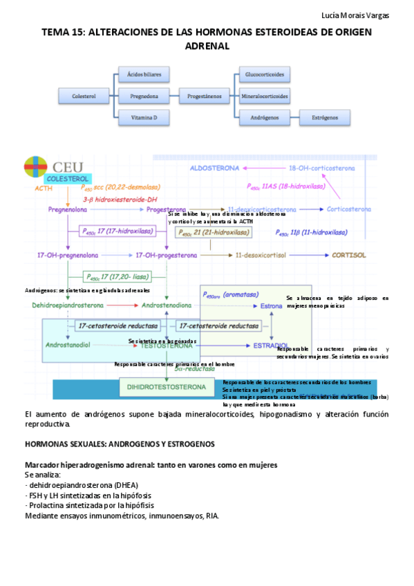 Miniatura del documento TEMA 15.pdf