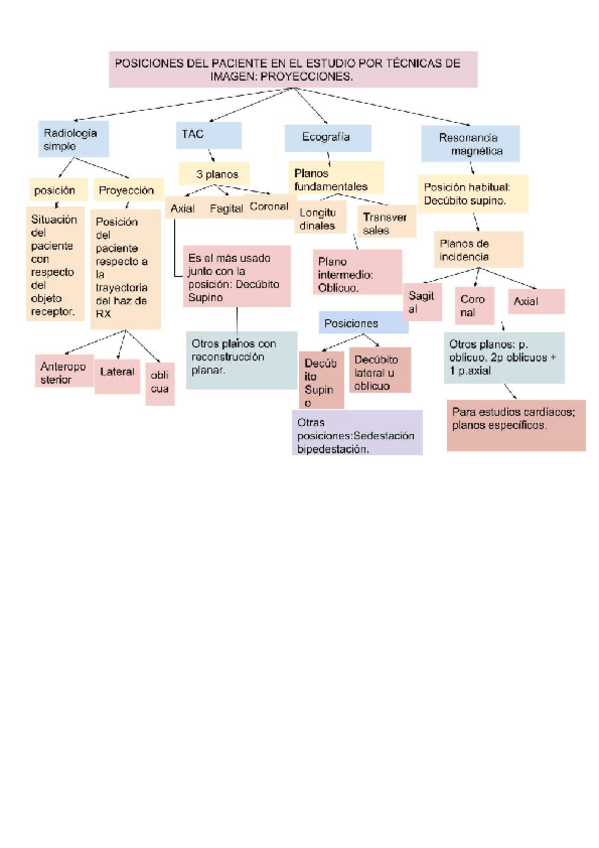 Miniatura del documento Tecnicas-por-imagen-proyecciones.pdf