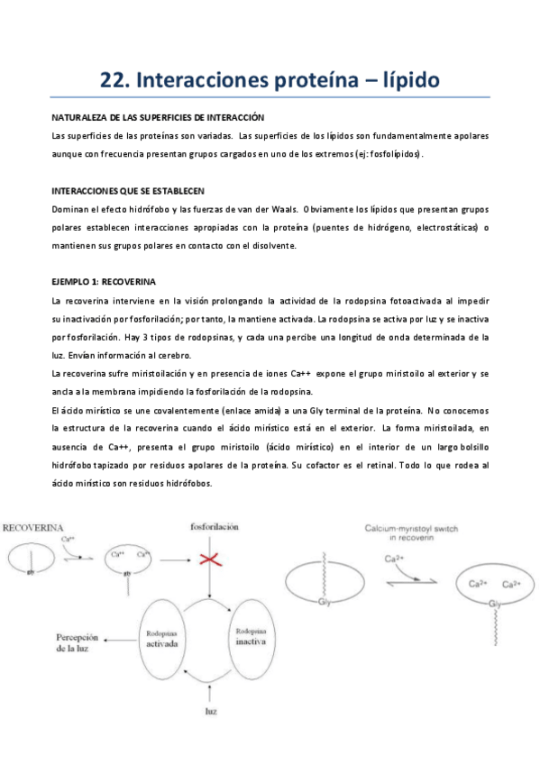 Miniatura del documento Tema-22.pdf