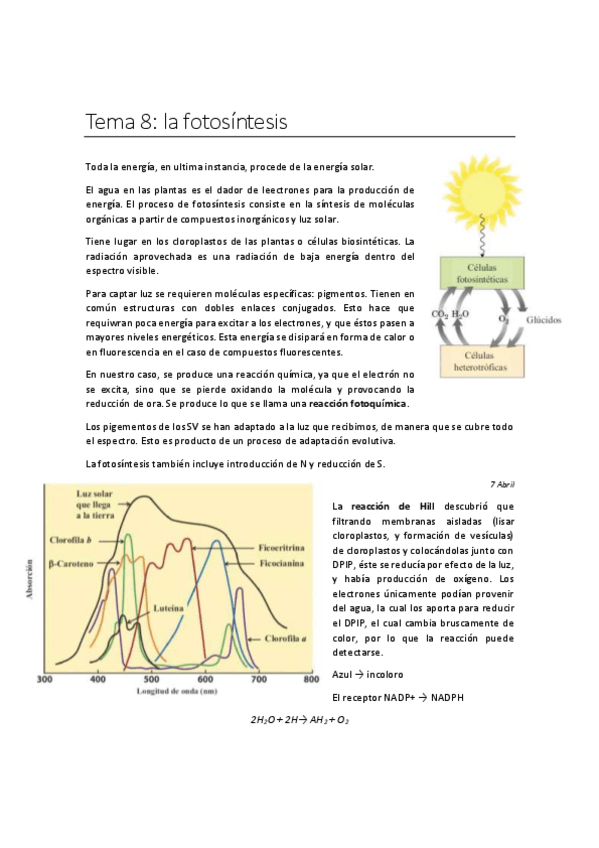 Miniatura del documento Tema-8.pdf