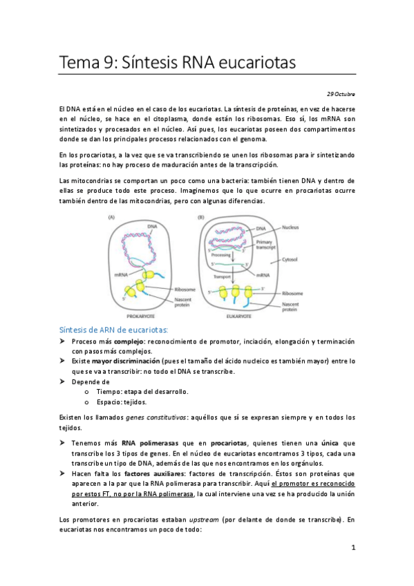 Miniatura del documento Tema-9.pdf