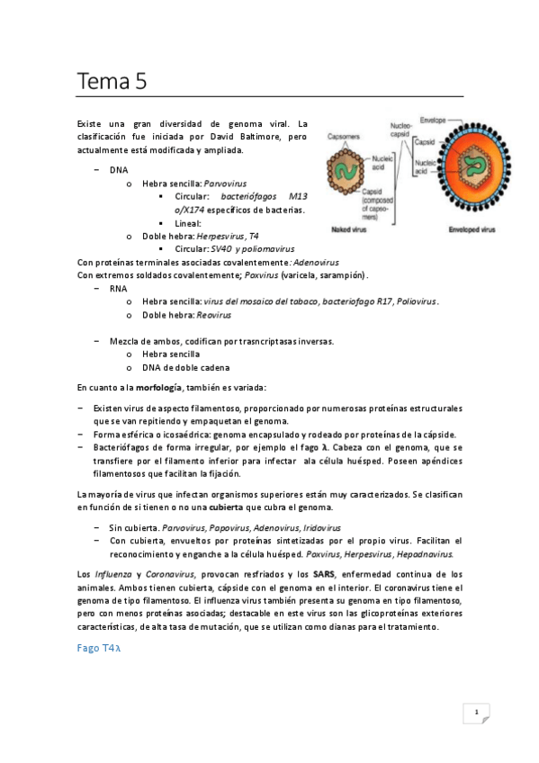 Miniatura del documento Tema-5.pdf