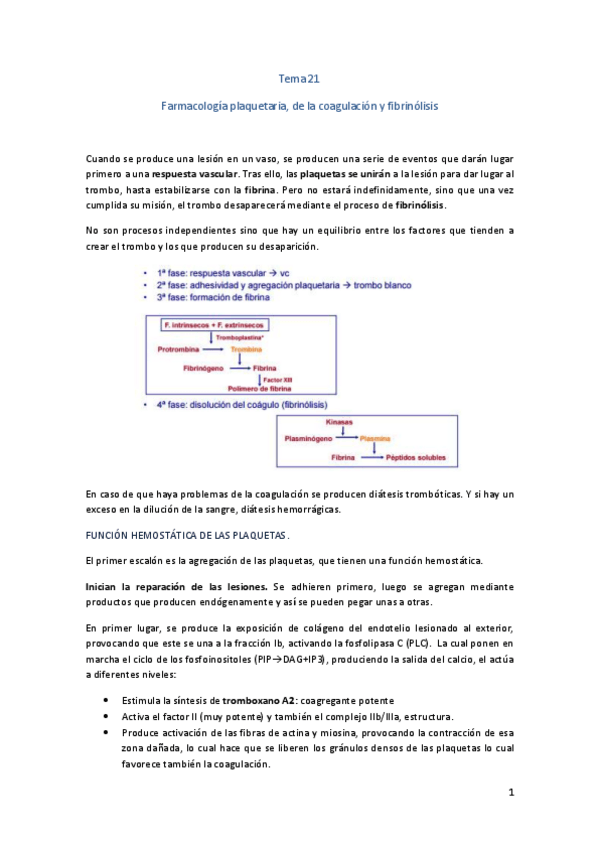 Miniatura del documento Tema-21.pdf