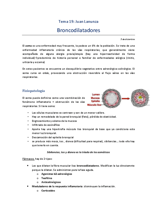 Miniatura del documento Tema-19.pdf