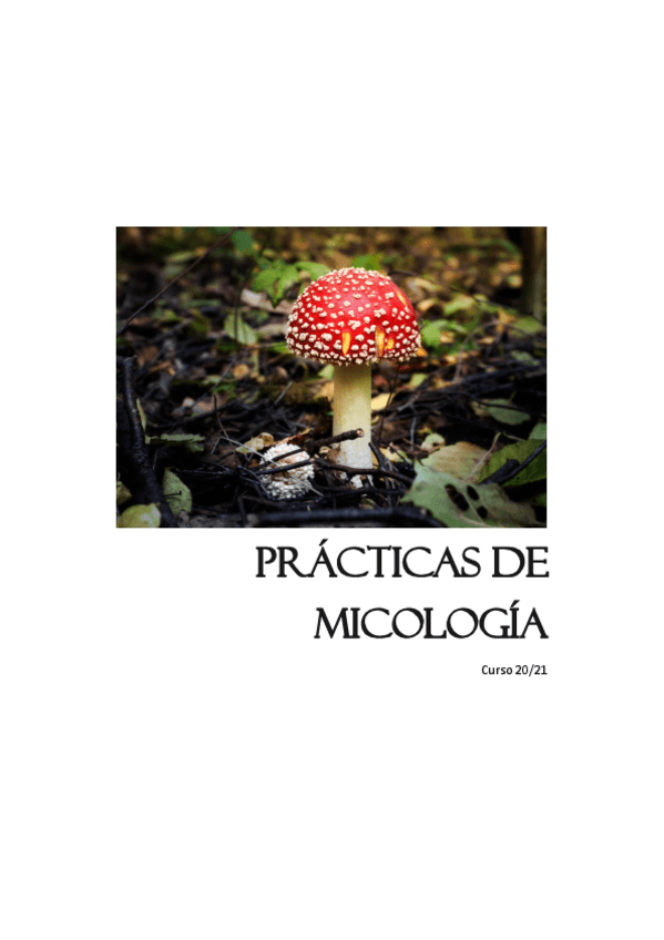 Miniatura del documento APUNTES-PRACTICAS.pdf