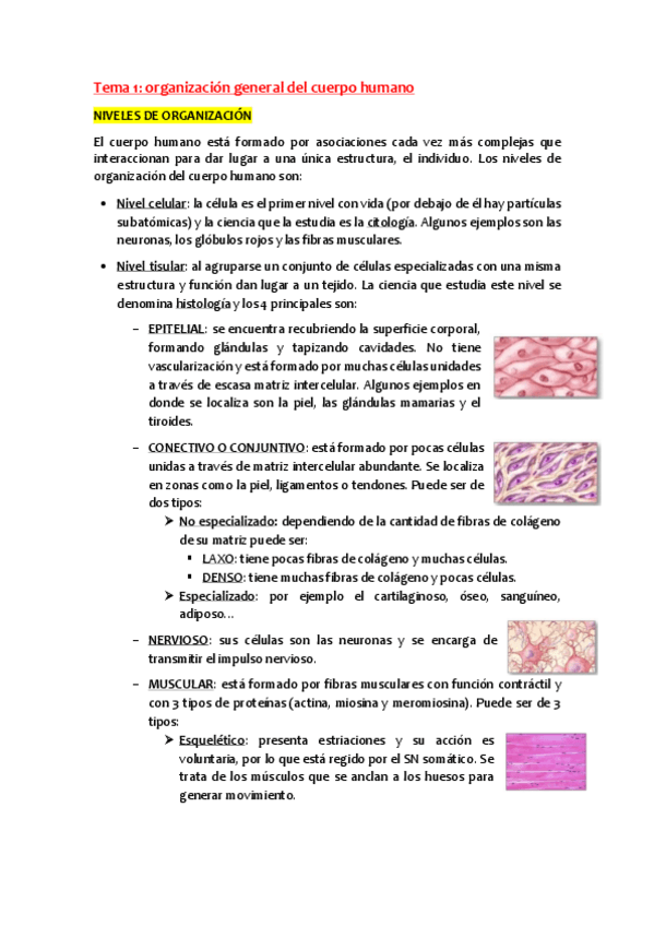 Miniatura del documento Anatomia-Tema-1.pdf