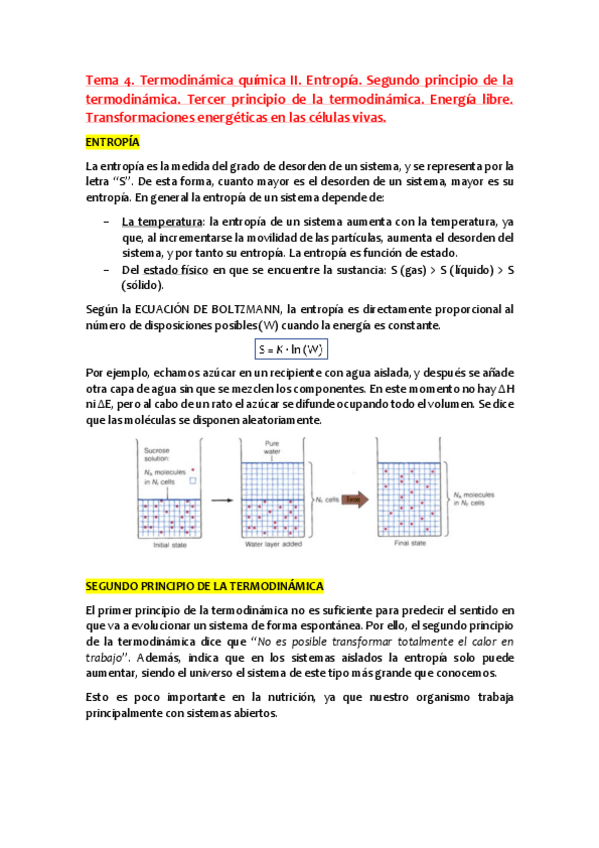 Miniatura del documento Tema-4.pdf
