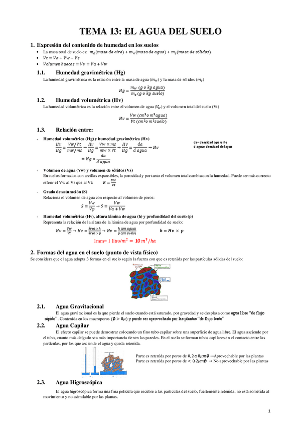 Miniatura del documento TEMA-13.pdf