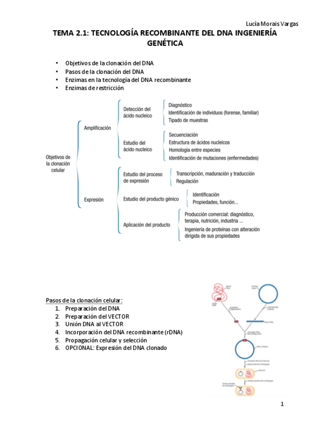 Miniatura del documento TEMA 2 .pdf