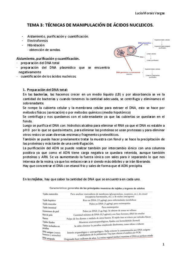 Miniatura del documento TEMA 3.pdf