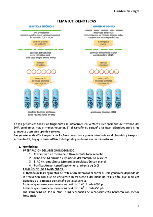 Miniatura del documento TEMA 3.3.BIOTEC.pdf