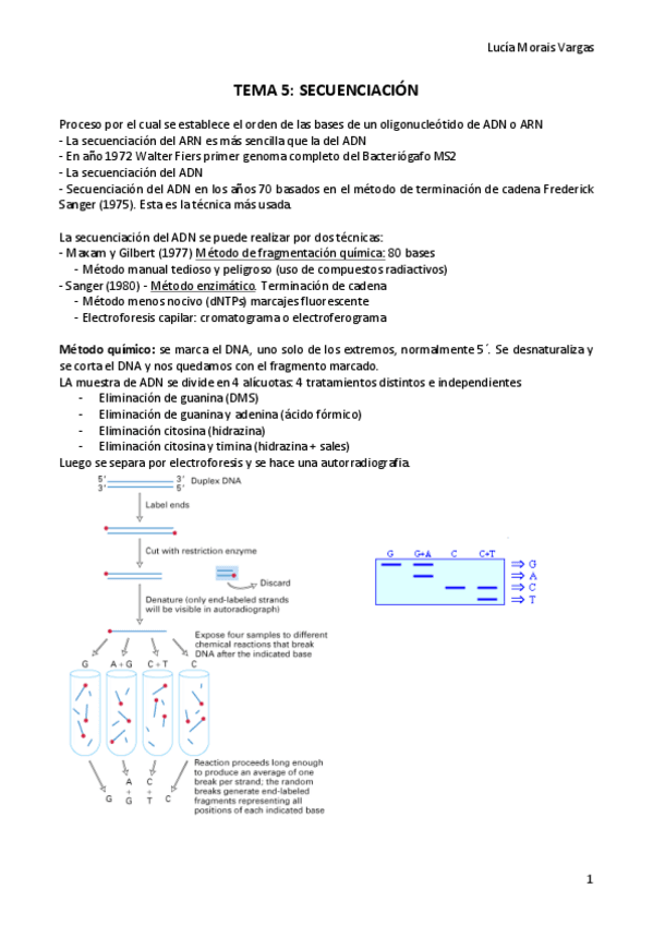 Miniatura del documento TEMA 5.pdf