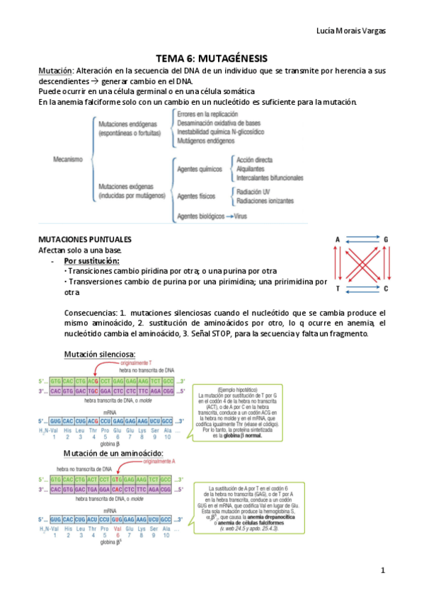 Miniatura del documento TEMA 6.pdf