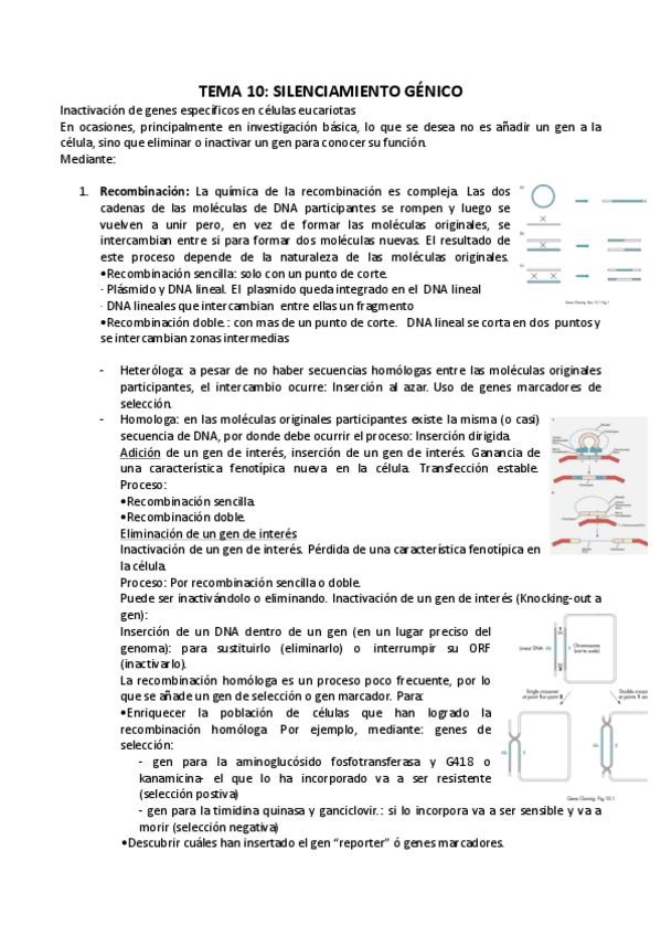 Miniatura del documento TEMA 10.pdf