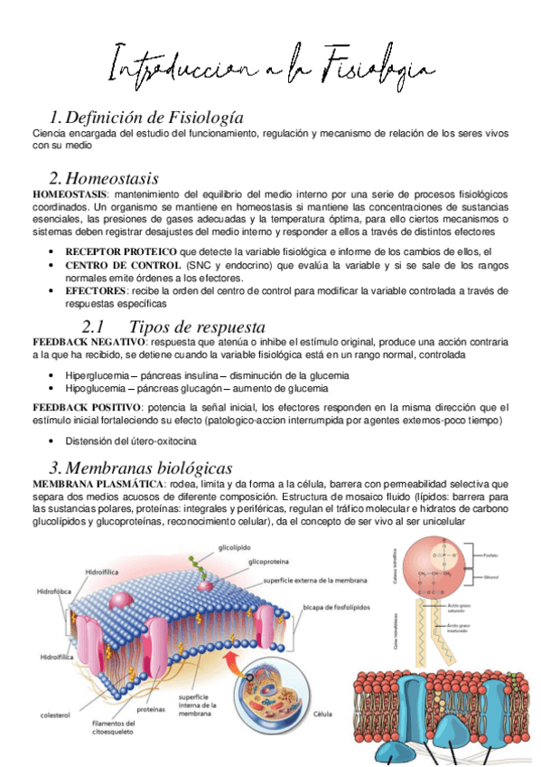 Miniatura del documento Todo-Parcial-1-Principios-Histologia-y-SN.pdf