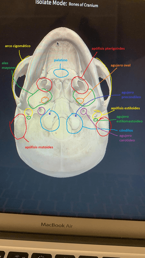 Miniatura del documento exocraneal-TODO.jpg