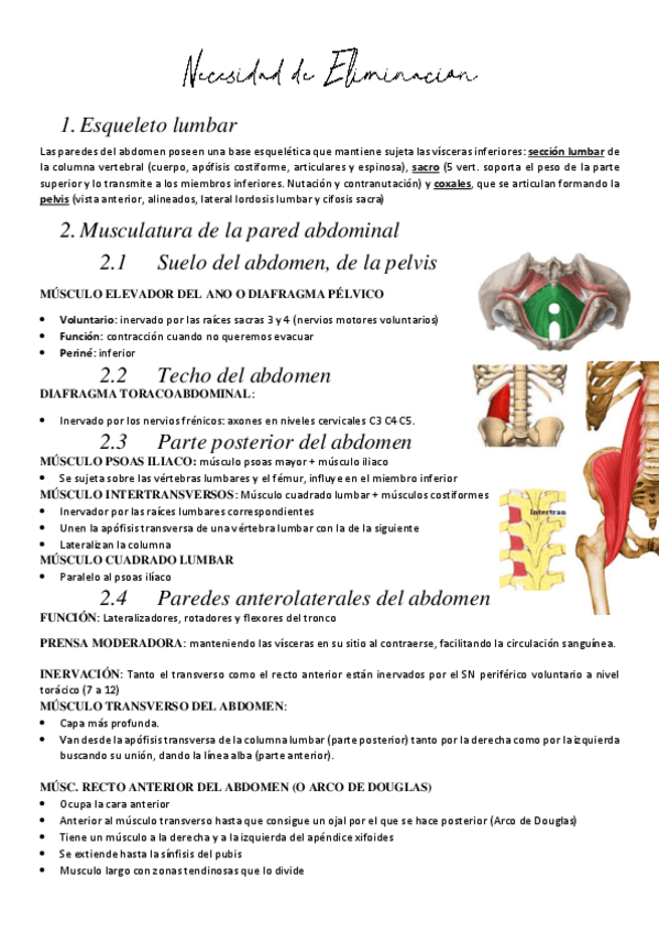 Miniatura del documento Aparato-Excretor.pdf