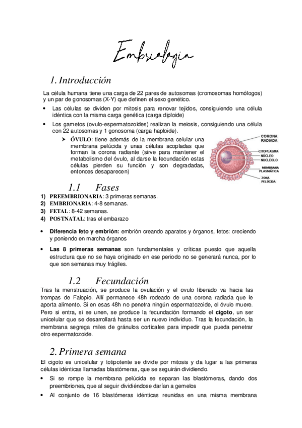 Miniatura del documento Embriologia.pdf