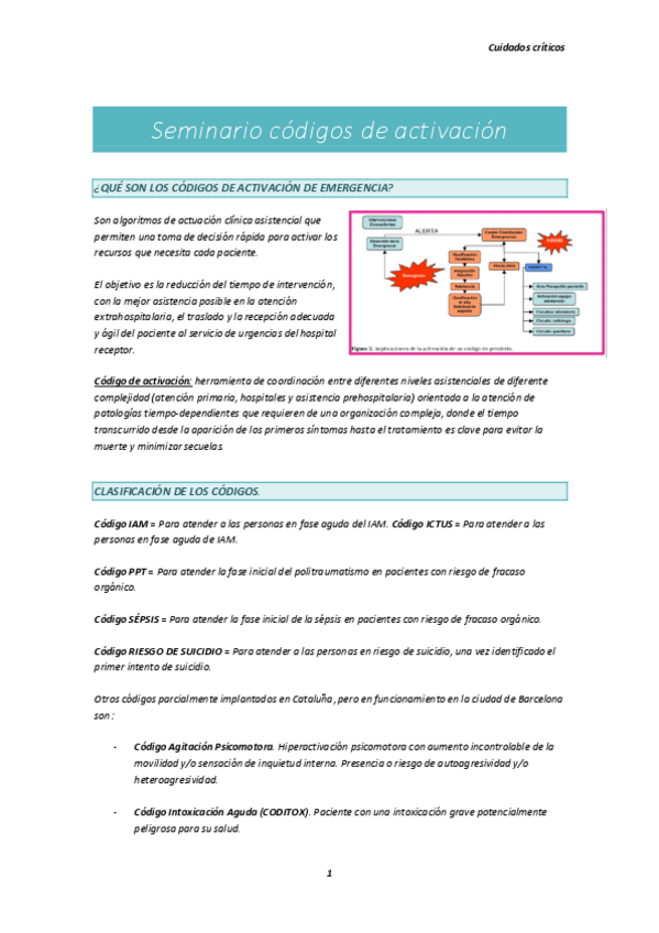 Miniatura del documento Seminario-Codigos-de-activacion.pdf