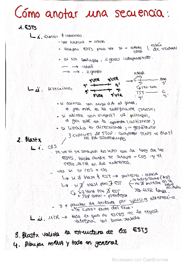 Miniatura del documento Bioinformatica-Anotar-y-Dotplots.pdf