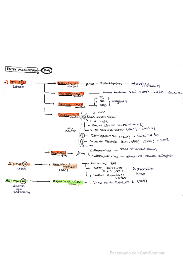 Miniatura del documento Viro-esquemas.pdf