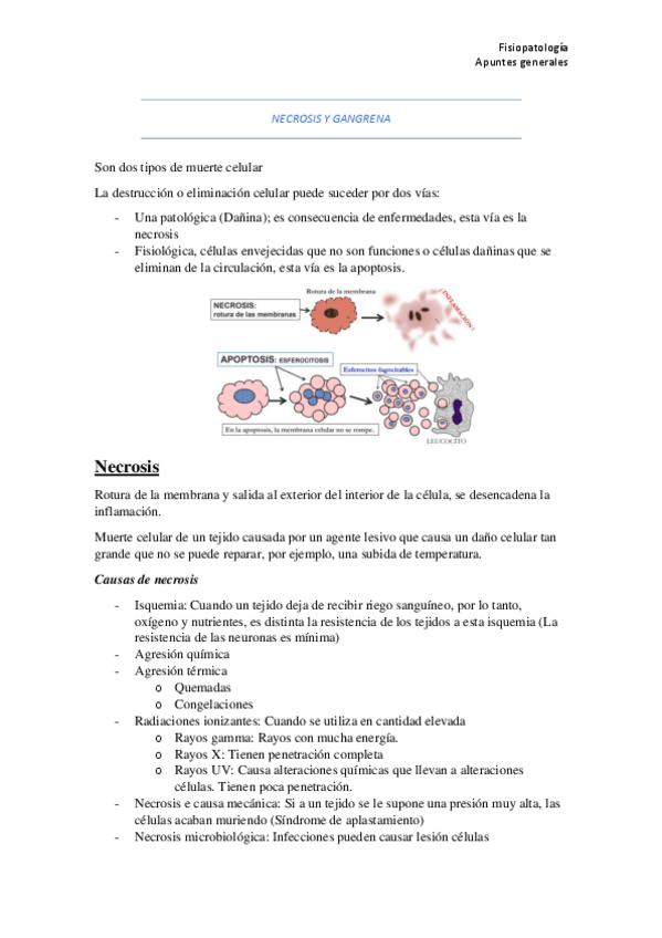 Miniatura del documento NECROSIS-Y-GANGRENA.pdf