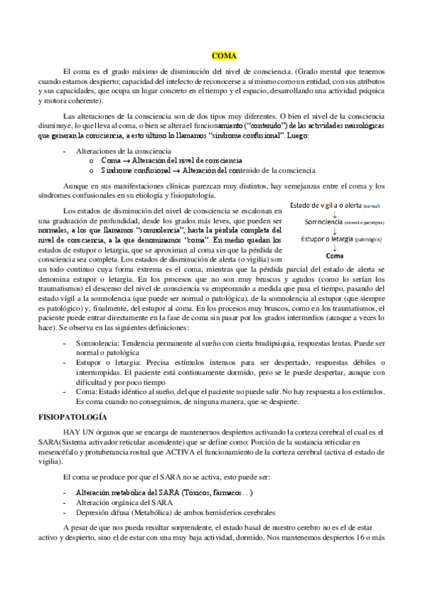 Miniatura del documento COMA.pdf