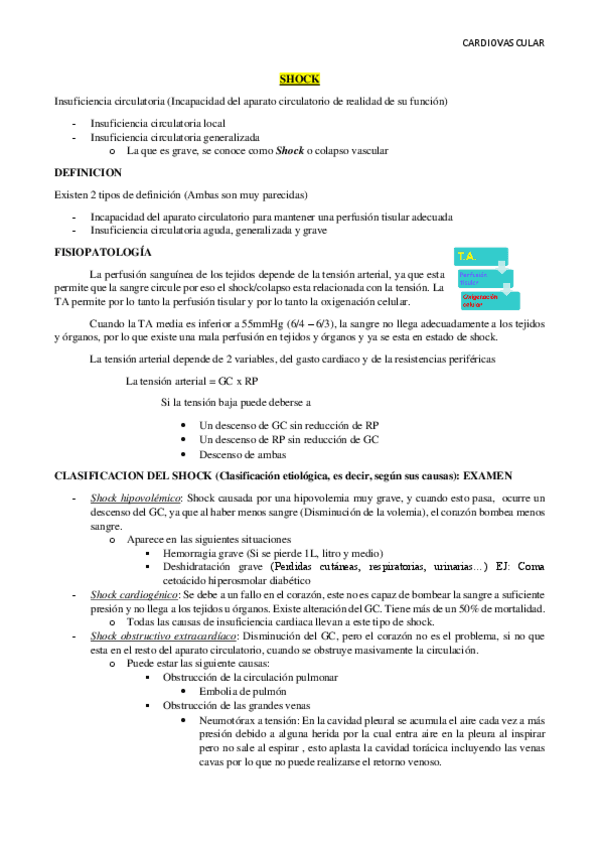 Miniatura del documento SHOCK.pdf