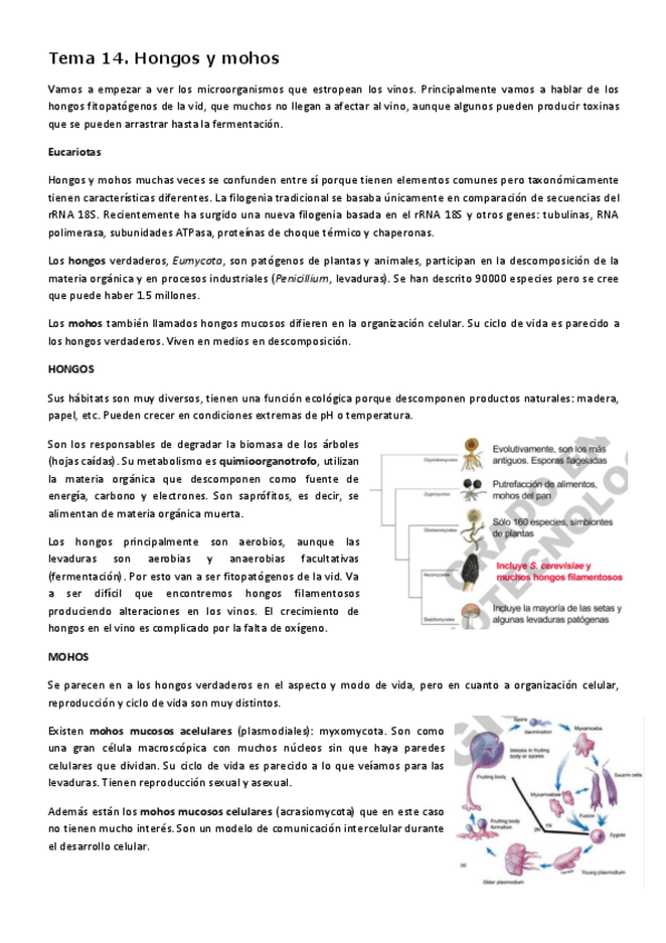 Miniatura del documento Tema-14-definitivo-BL.pdf