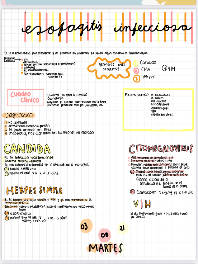 Miniatura del documento PDF.png