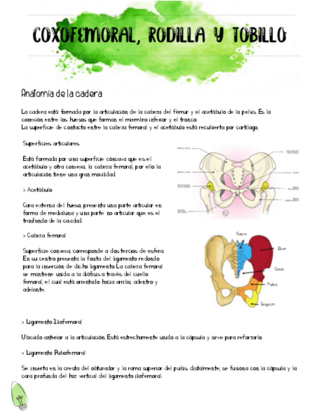 Miniatura del documento Propedeutica-Coxofemoral-Rodilla-y-Tobillo.pdf