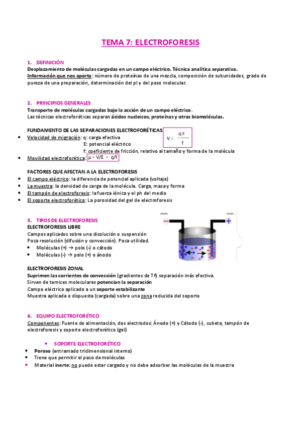 Miniatura del documento TEMA-7-apuntes.pdf
