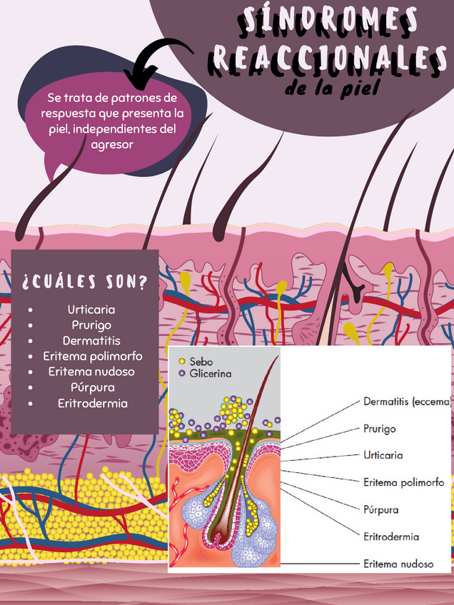 Miniatura del documento Sindromes-Reaccionales.pdf