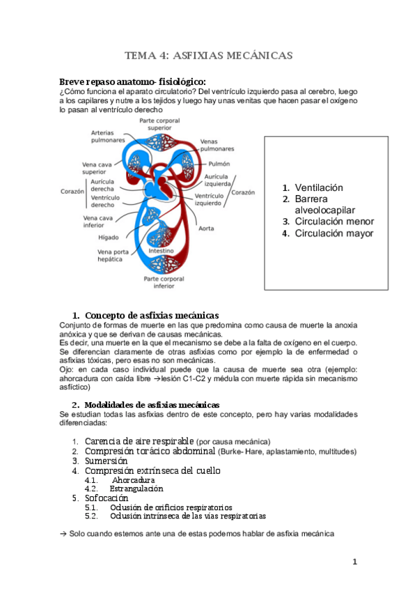 Miniatura del documento TEMA-4.pdf