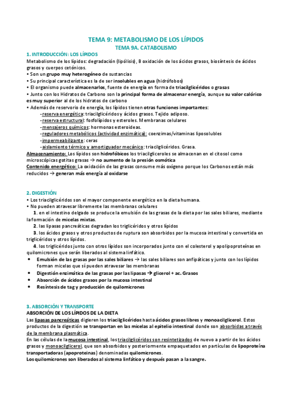 Miniatura del documento METABOLISMO-DE-LOS-LIPIDOS.pdf