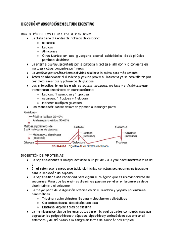 Miniatura del documento Digestion-y-absorcion-en-el-tubo-digestivo-1.pdf