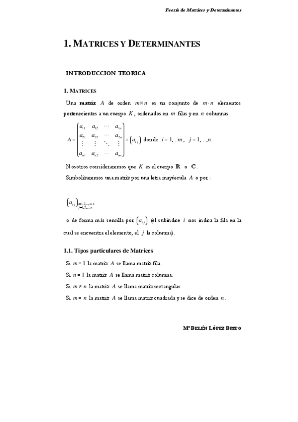Miniatura del documento TEMA-1.pdf