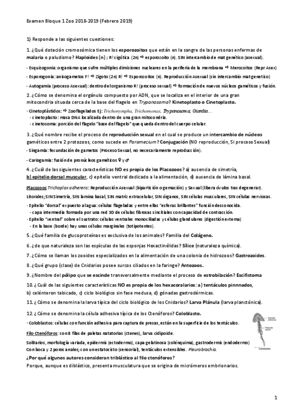 Miniatura del documento EXAMENRESUELTOParcial-1Bloque-1-Zoo.pdf