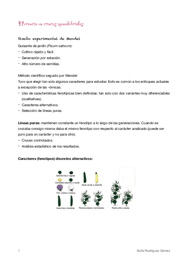 Miniatura del documento 2.pdf