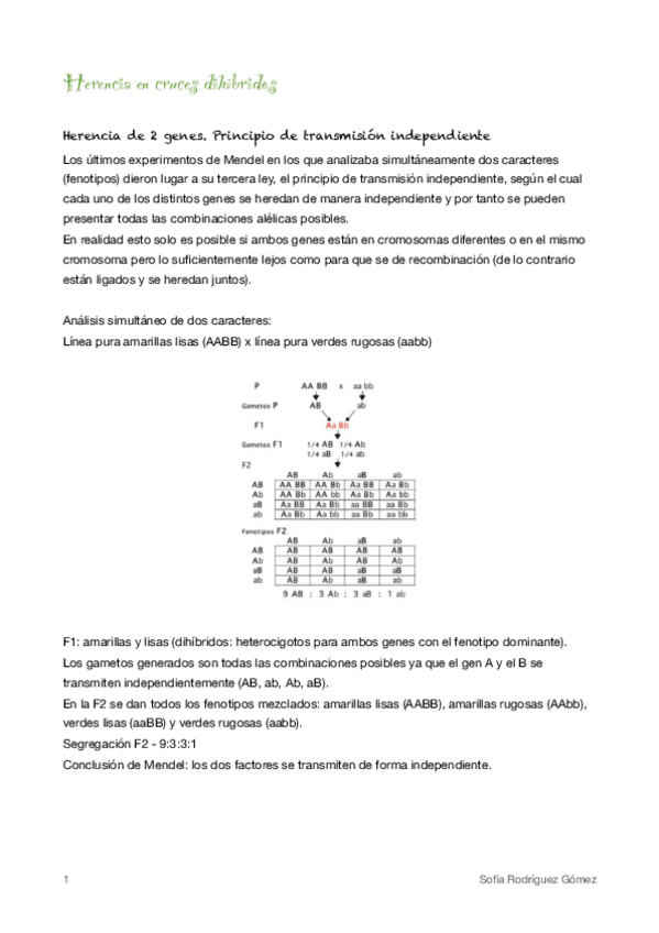 Miniatura del documento 3.pdf