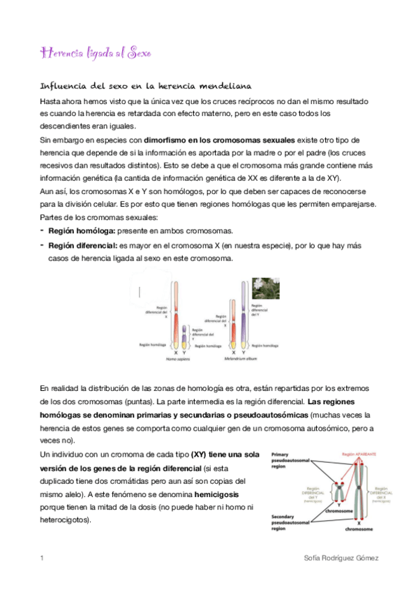 Miniatura del documento 4.pdf