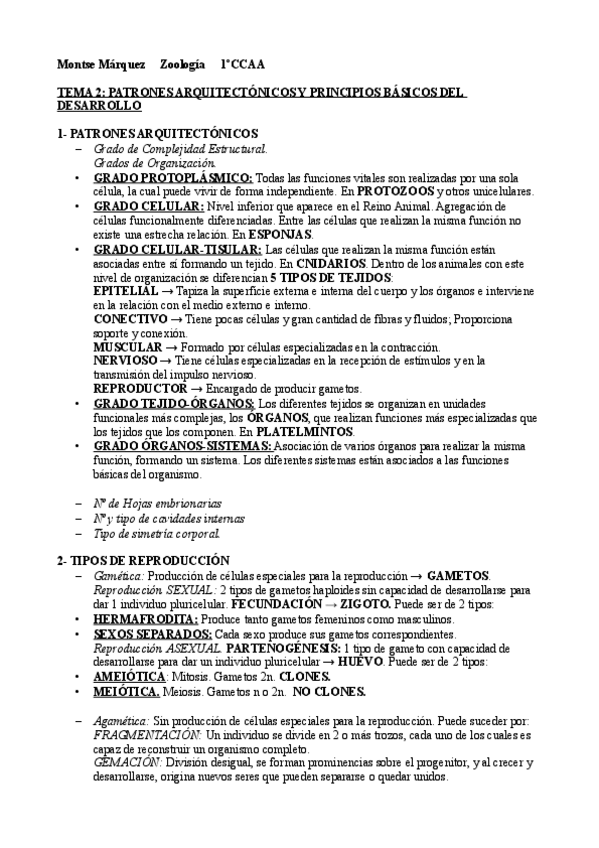 Miniatura del documento APUNTES.pdf